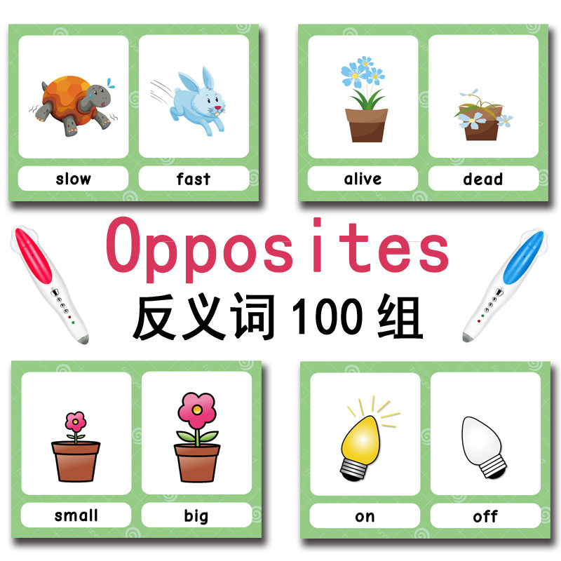 The 100 Groups Opposites Flash - огляд і ціна Kids Toys Learning